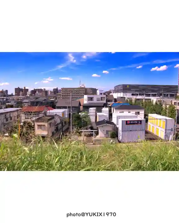水神社(埼玉県)