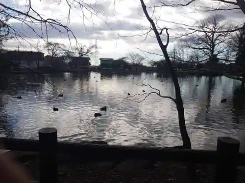 乃木神社の周辺