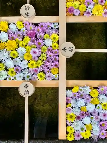 土津神社｜こどもと出世の神さまの手水