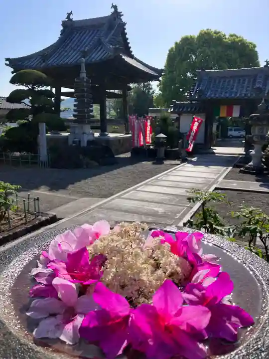 真言宗 善通寺派 薬王寺(香川県)