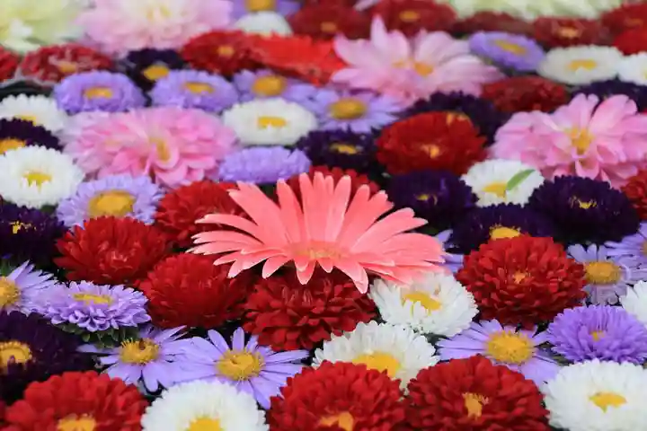 大鏑神社の手水舎