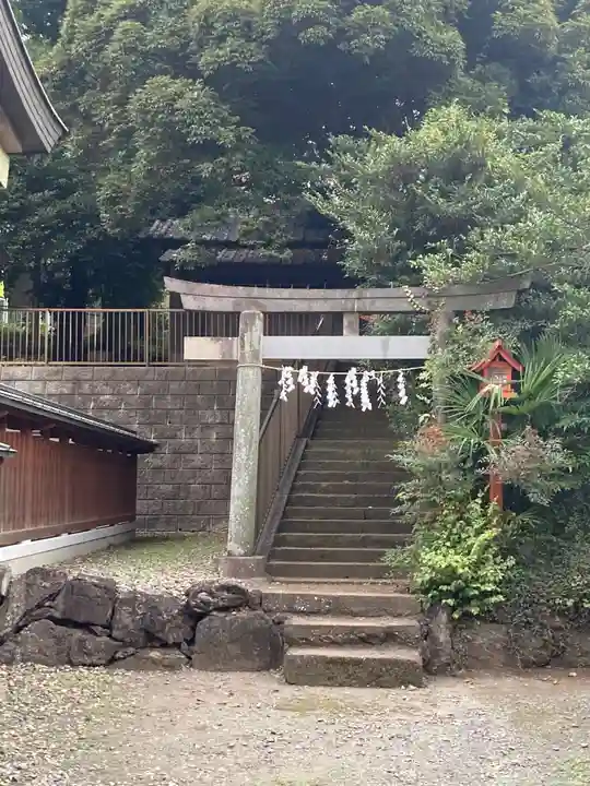 氷川神社の鳥居