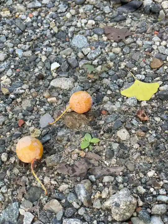 伊勢の国 四天王寺の動物