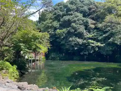 富士山本宮浅間大社(静岡県)
