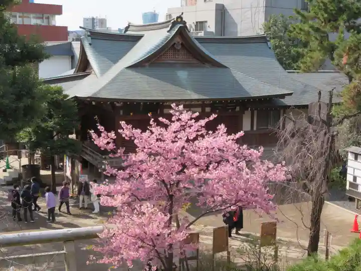 鳩森八幡神社の本殿・本堂