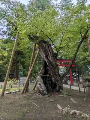 蠶養國神社(福島県)
