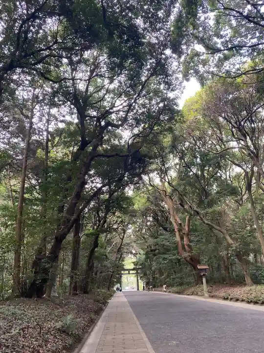 明治神宮(東京都)