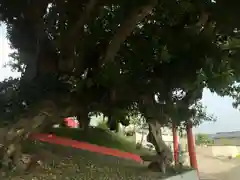 切目王子神社(鹿児島県)