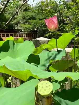 生田神社(兵庫県)
