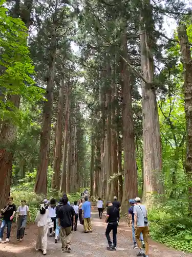 戸隠神社奥社(長野県)
