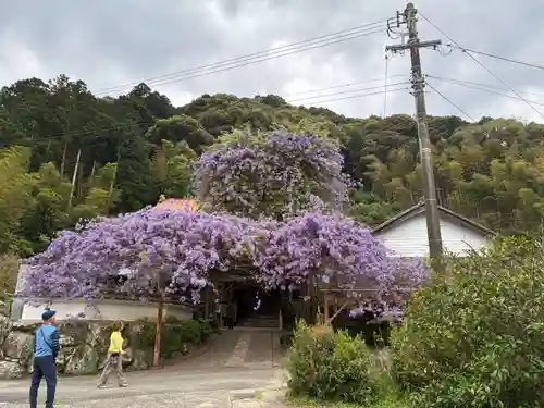 神光寺(徳島県)