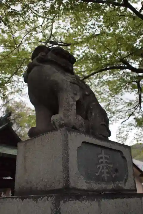 甲斐総社八幡神社の狛犬