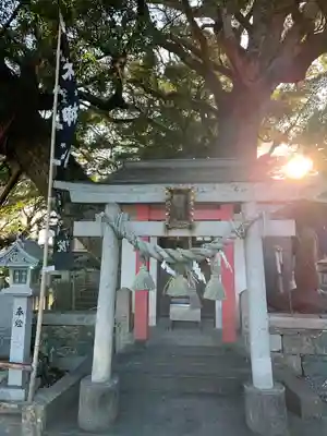 津田八幡神社(徳島県)