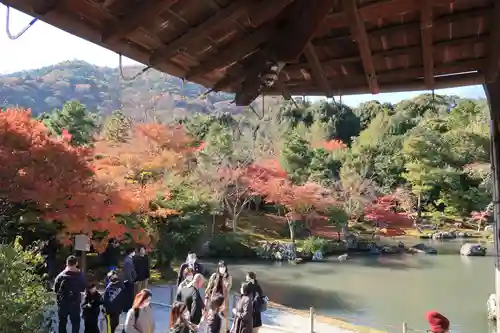 天龍寺の庭園