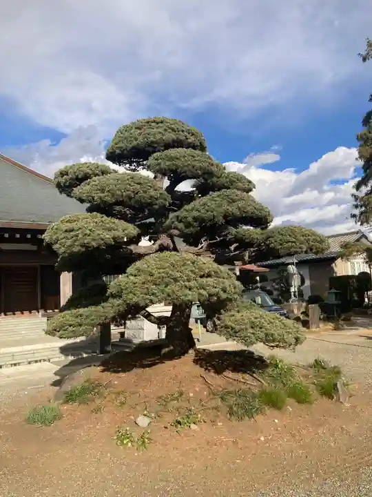 金剛頂寺(神奈川県)
