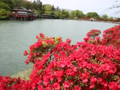 長岡天満宮の周辺