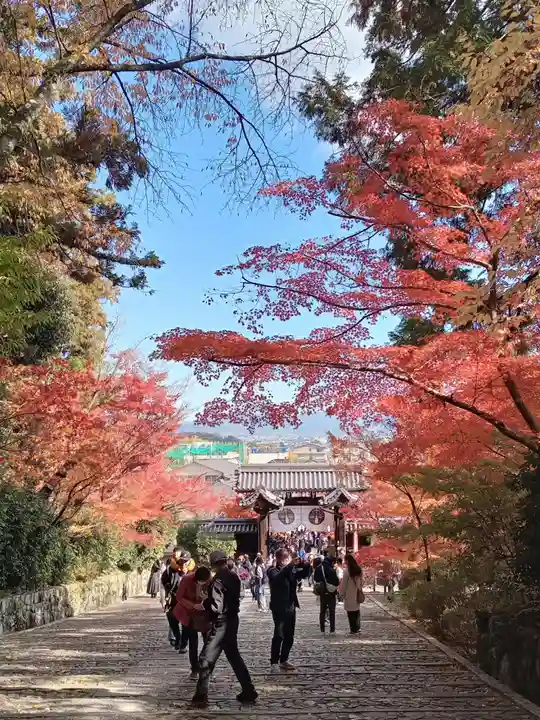 光明寺(粟生光明寺)(京都府)
