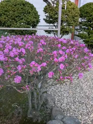亀田龍神社の{uncategorized: "未分類", other: "その他", undefined: "問題あり", building: "その他建物", grave: "お墓", sacred_gate: "鳥居", guardian: "狛犬", statue: "像", buddha: "仏像", history: "歴史", nature: "自然", garden: "庭園", animal: "動物", pagoda: "塔", temizu: "手水舎", mountain_gate: "山門・神門", sanctuary: "本殿・本堂", subordinate: "末社・摂社", art: "芸術", scenery: "景色", jizo: "地蔵", ema: "絵馬", goshuin: "御朱印", omikuji: "おみくじ", items: "授与品その他", amulet: "お守り", goshuincho: "御朱印帳", eats: "食事", festival: "お祭り", votive_dance: "神楽", shichigosan: "七五三参", wedding: "結婚式", experience: "体験その他", initially: "初詣", around: "周辺", anti_infection: "感染症対策"}