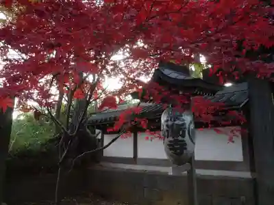 東漸寺のその他建物