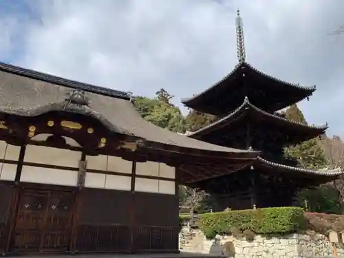 園城寺（三井寺）の建物その他