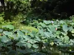 東寺（教王護国寺）(京都府)