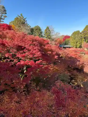 東福禅寺（東福寺）(京都府)