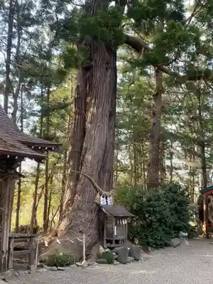 鎮守府八幡宮(岩手県)