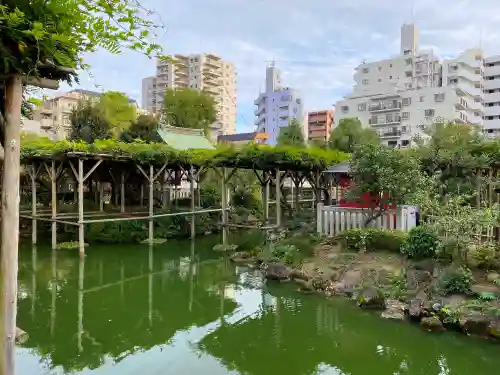 亀戸天神社の庭園