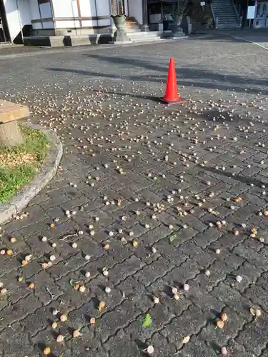 大明寺(神奈川県)