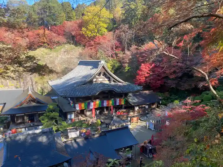 岡寺(龍蓋寺)(奈良県)