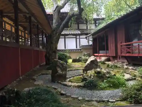 十輪寺の庭園