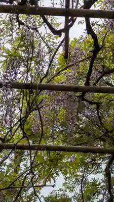 誉田八幡宮(大阪府)