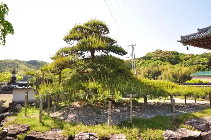 種間寺(高知県)