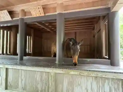 伊勢神宮内宮（皇大神宮）(三重県)
