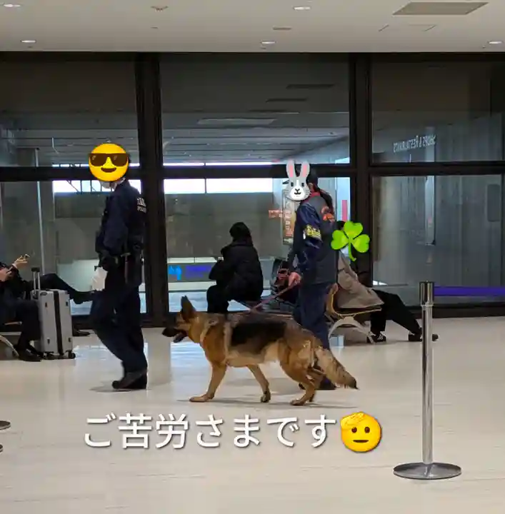 離宮八幡宮(京都府)