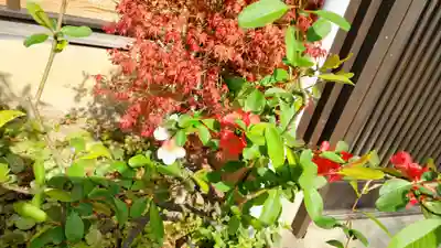 玉泉寺(神奈川県)