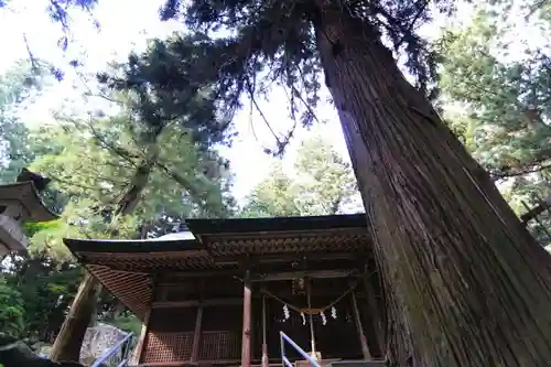 鹿島大神宮の本殿