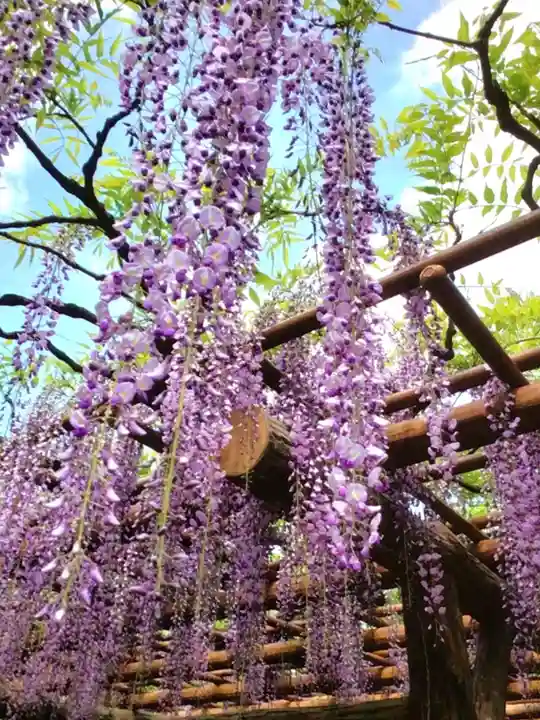 愛染院(東京都)