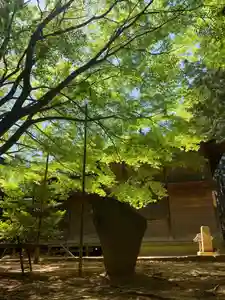 滑川神社 - 仕事と子どもの守り神(福島県)(2026年04月26日(日) 15時30分36秒投稿)