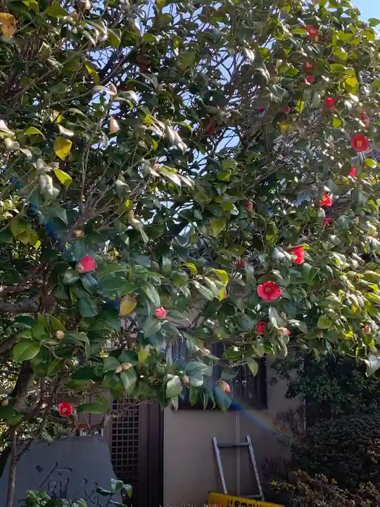 新善光寺の自然