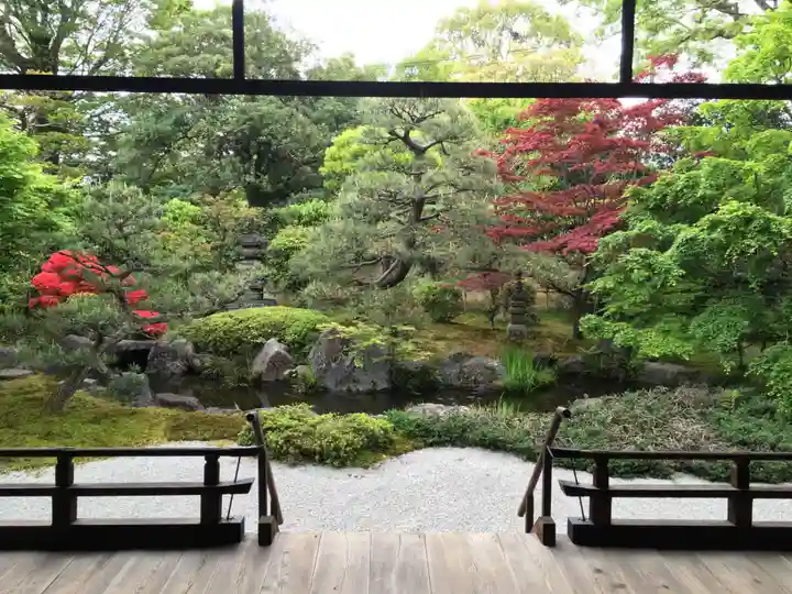 正傳(正伝)永源院の庭園