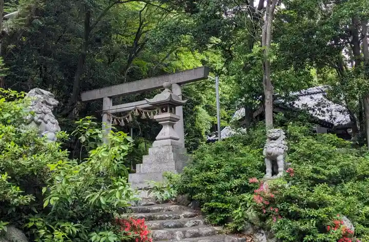 小向神社の{uncategorized: "未分類", other: "その他", undefined: "問題あり", building: "その他建物", grave: "お墓", sacred_gate: "鳥居", guardian: "狛犬", statue: "像", buddha: "仏像", history: "歴史", nature: "自然", garden: "庭園", animal: "動物", pagoda: "塔", temizu: "手水舎", mountain_gate: "山門・神門", sanctuary: "本殿・本堂", subordinate: "末社・摂社", art: "芸術", scenery: "景色", jizo: "地蔵", ema: "絵馬", goshuin: "御朱印", omikuji: "おみくじ", items: "授与品その他", amulet: "お守り", goshuincho: "御朱印帳", eats: "食事", festival: "お祭り", votive_dance: "神楽", shichigosan: "七五三参", wedding: "結婚式", experience: "体験その他", initially: "初詣", around: "周辺", anti_infection: "感染症対策"}