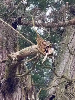 高岡神社(岡山県)