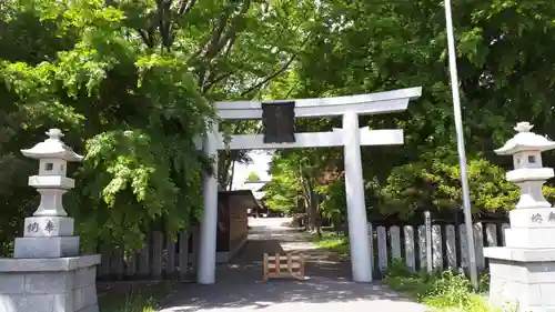 亀田八幡宮の鳥居