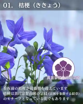 宝光寺(北海道)