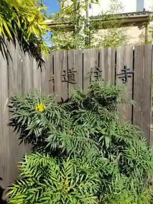 道往寺(東京都)