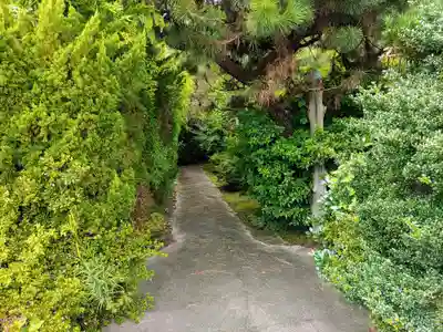 月中庵のその他建物