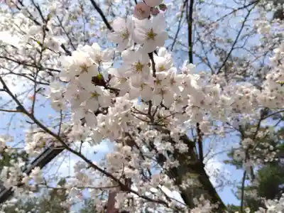 福井県護国神社(福井県)