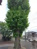 西勝寺(茨城県)