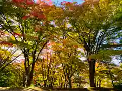 土津神社｜こどもと出世の神さまの自然